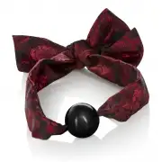 Кляпы, ошейники красный