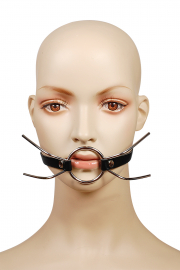 Кляпы, ошейники для мужчин