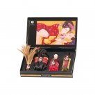 Подарочный набор Shunga Gift Set Tenderness/Passion photo 1