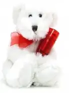 Секс-набор AMOUR BE MINE CUDDLE MASSAGE KIT photo 4